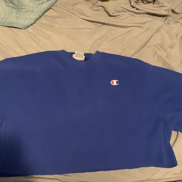 Cropped Champion Sweater - Picture 1 of 3